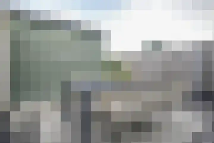 Cyclaamtuin 7 Pijnacker thumbnail 42