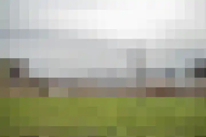 Cyclaamtuin 7 Pijnacker thumbnail 46