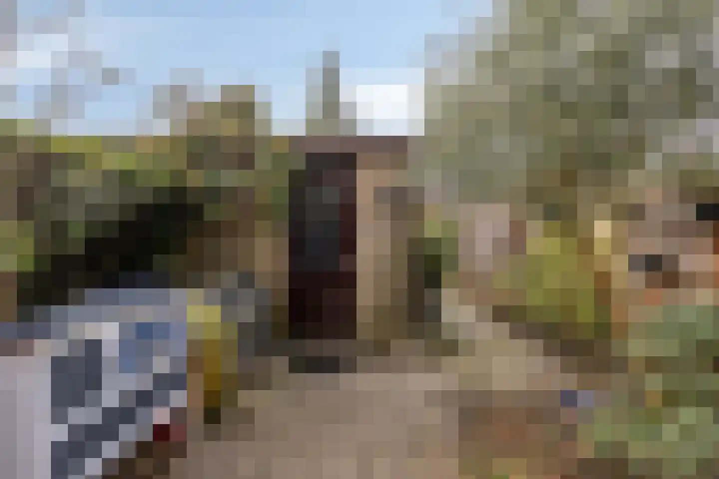 Cycladen 5 Capelle aan den IJssel thumbnail 25
