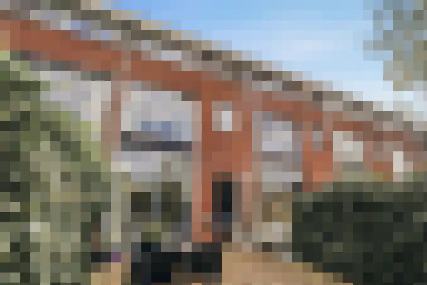 Cycladenlaan 106 Amsterdam thumbnail 51