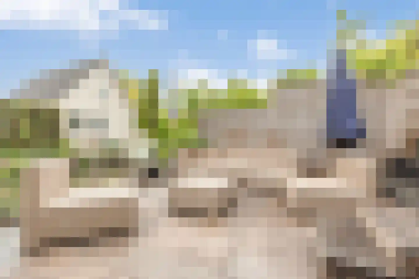 Cycladenlaan 120 A Amsterdam thumbnail 13