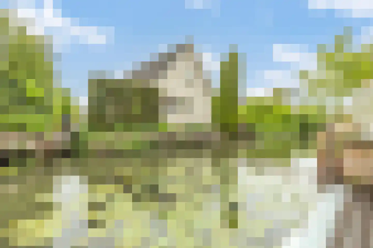 Cycladenlaan 120 A Amsterdam thumbnail 17