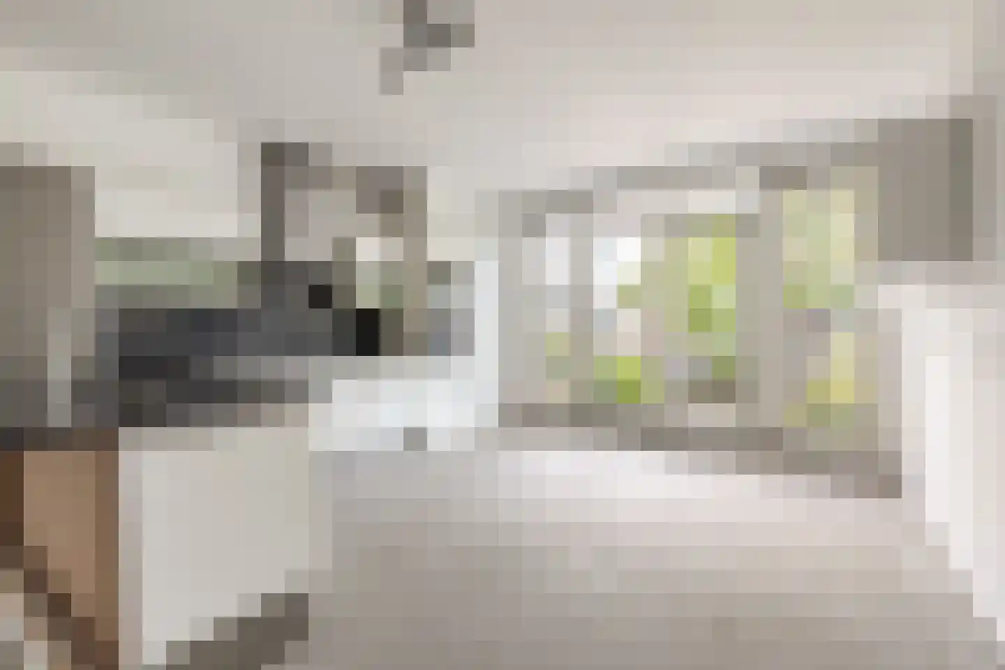 Cycladenlaan 120 B Amsterdam thumbnail 4