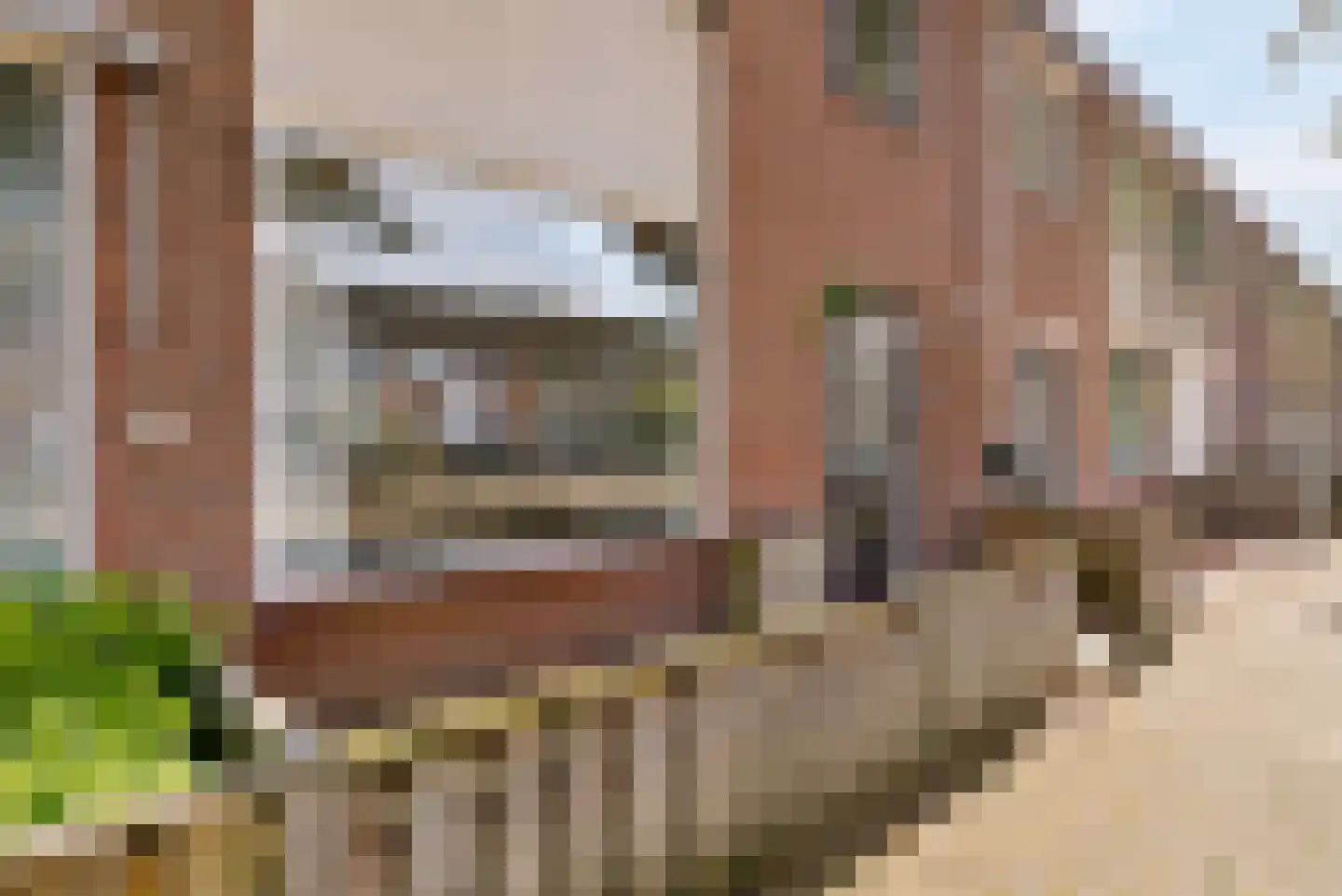 Cyclamenstraat 19 Rosmalen thumbnail 35