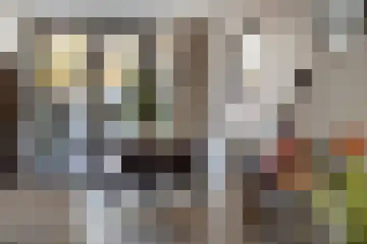 Cyclamenstraat 29 Eindhoven thumbnail 14