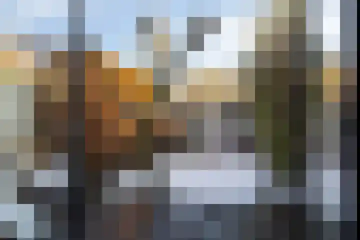 Cyclamenstraat 29 Eindhoven thumbnail 19