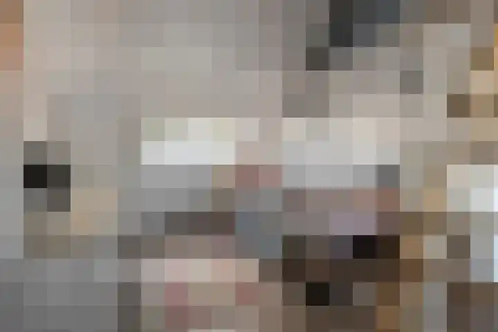 Cyclamenstraat 29 Eindhoven thumbnail 29