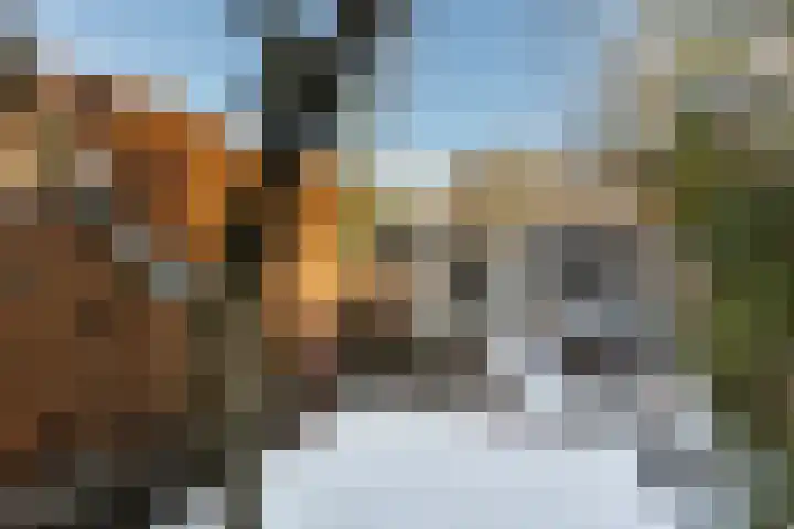 Cyclamenstraat 29 Eindhoven thumbnail 32