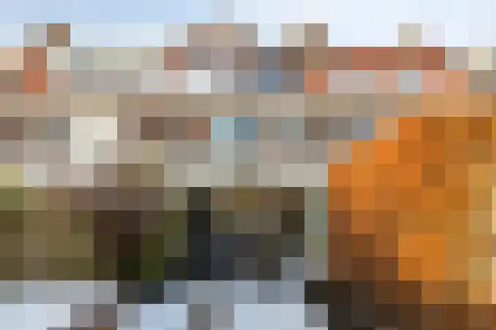 Cyclamenstraat 29 Eindhoven thumbnail 33