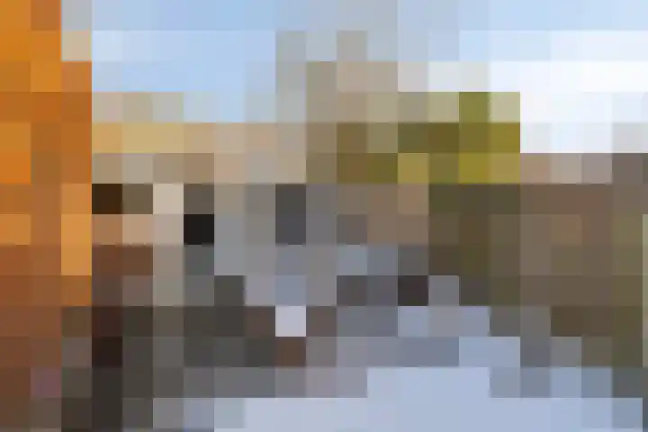 Cyclamenstraat 29 Eindhoven thumbnail 34