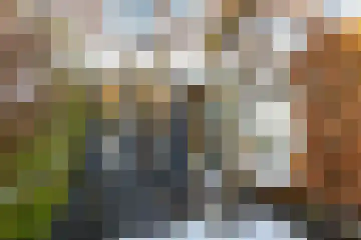 Cyclamenstraat 29 Eindhoven thumbnail 35