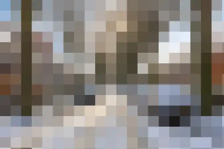 Cyclamenstraat 29 Eindhoven thumbnail 36