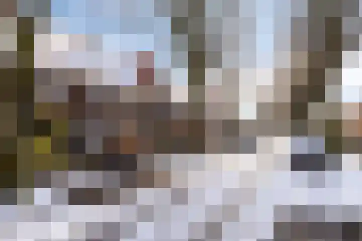 Cyclamenstraat 29 Eindhoven thumbnail 4