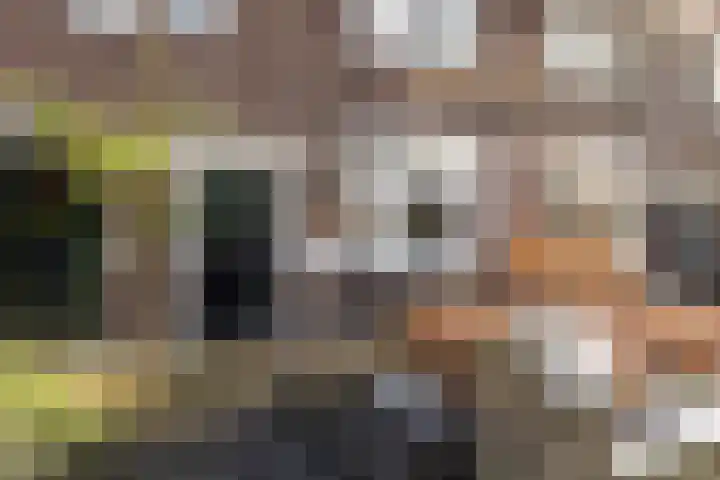 Cyclamenstraat 29 Eindhoven thumbnail 5