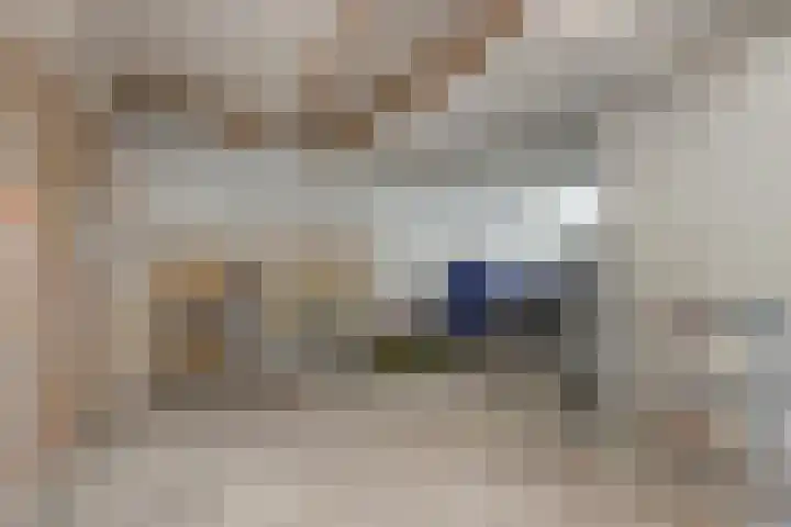 Cyclamenstraat 45 Rosmalen thumbnail 38