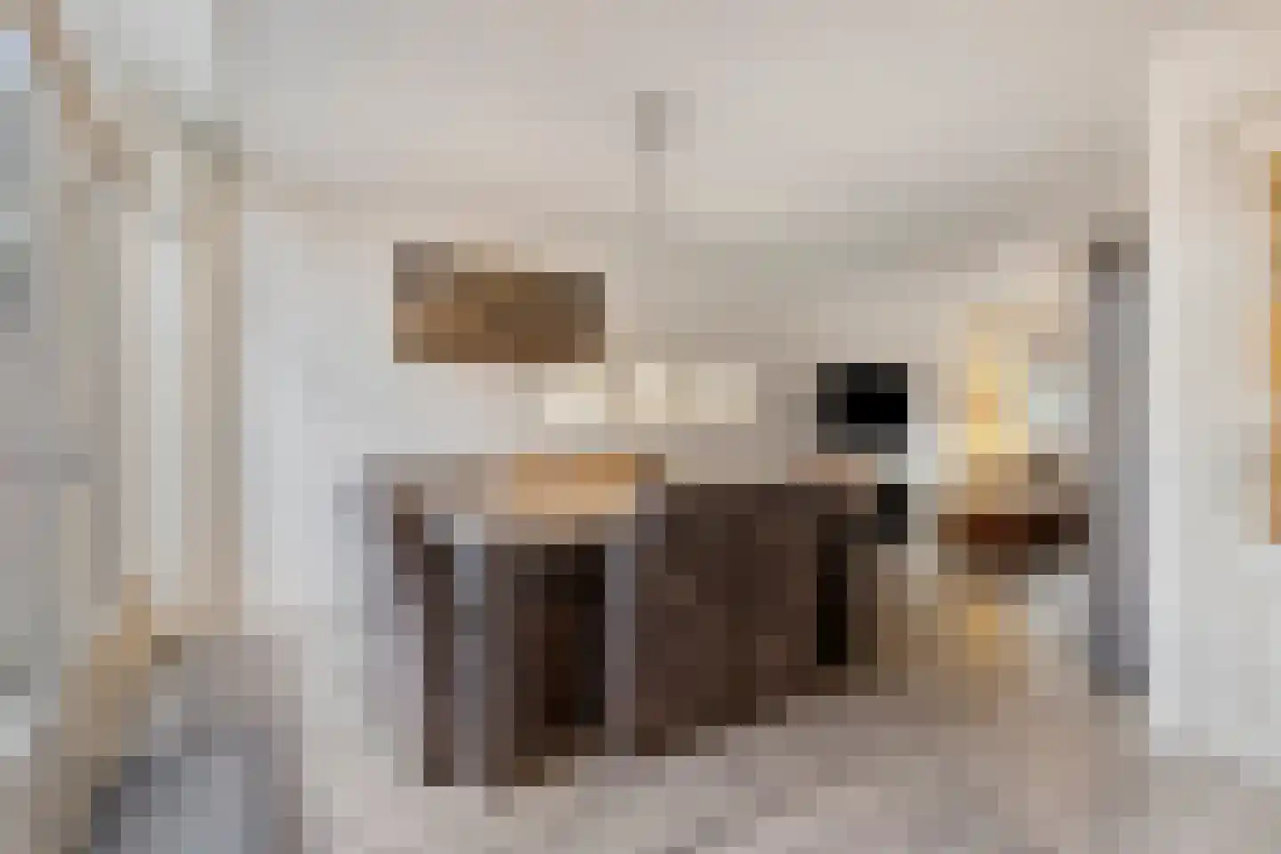 Cyclamenstraat 8 Eindhoven thumbnail 13