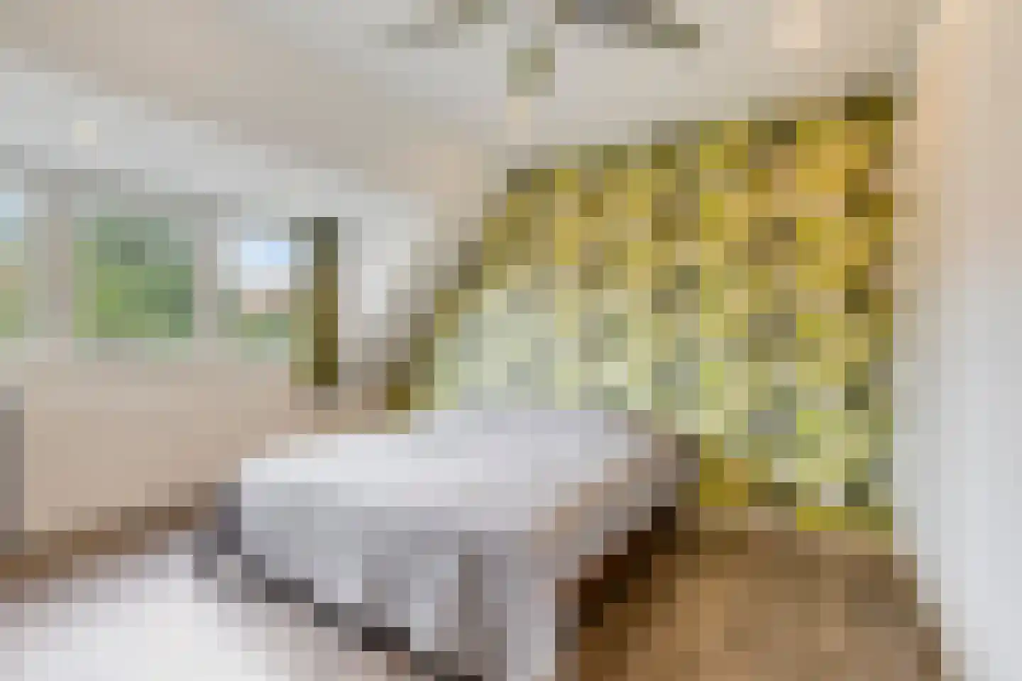 Cyclamenstraat 8 Eindhoven thumbnail 22