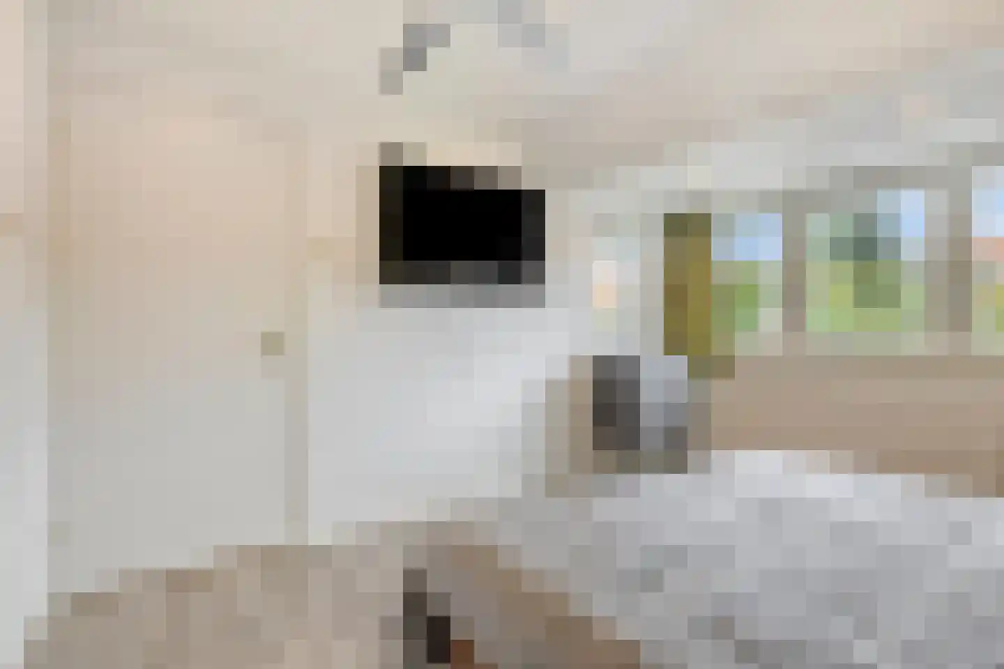 Cyclamenstraat 8 Eindhoven thumbnail 23