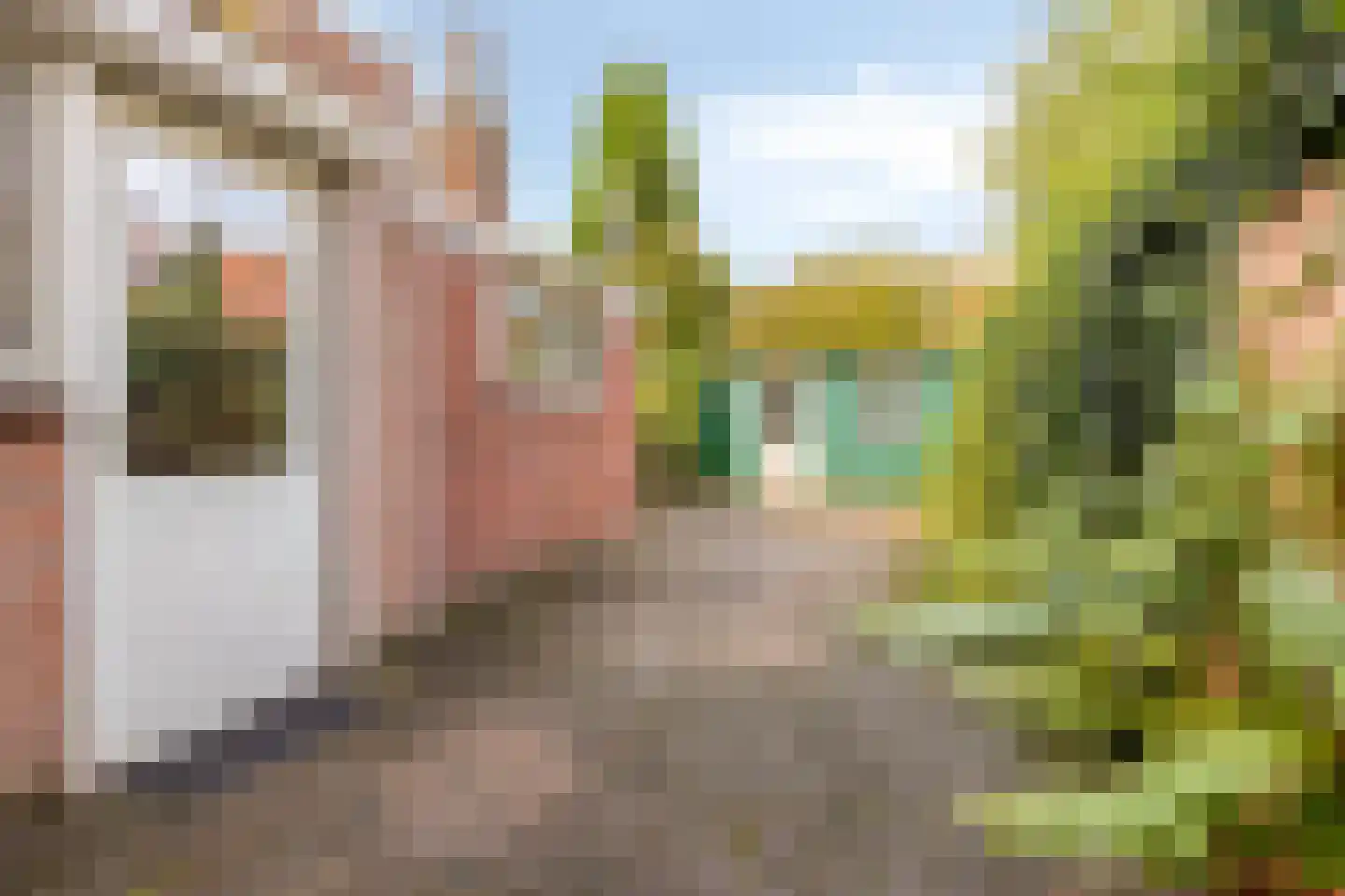 Cyclamenstraat 8 Eindhoven thumbnail 34