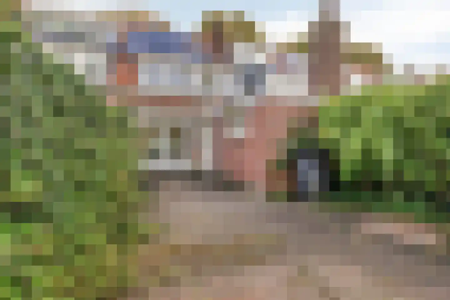 Cyclamenstraat 8 Eindhoven thumbnail 35
