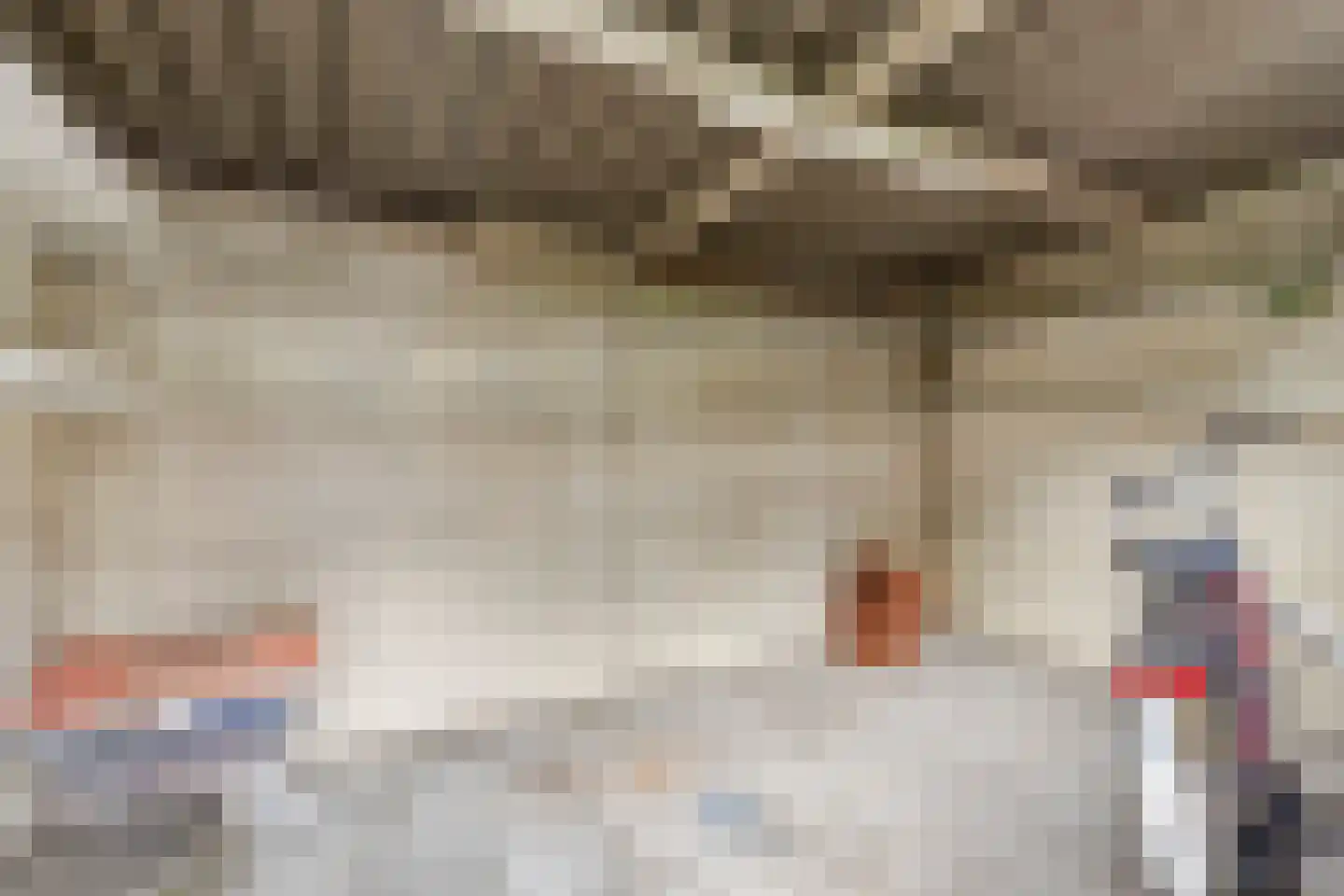 Cyclamenstraat 8 Eindhoven thumbnail 38