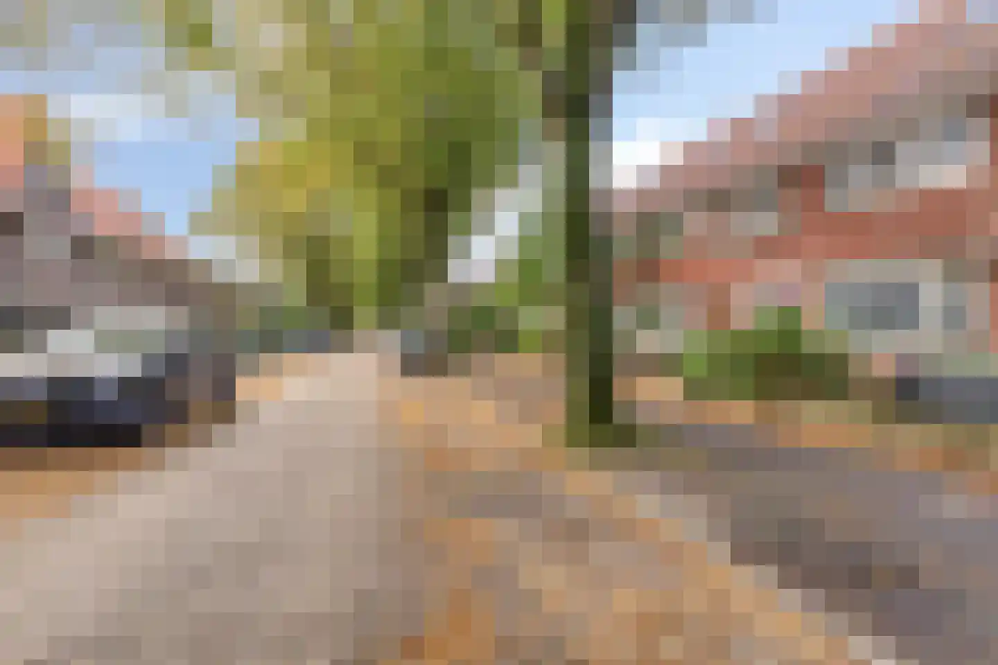 Cyclamenstraat 8 Eindhoven thumbnail 6