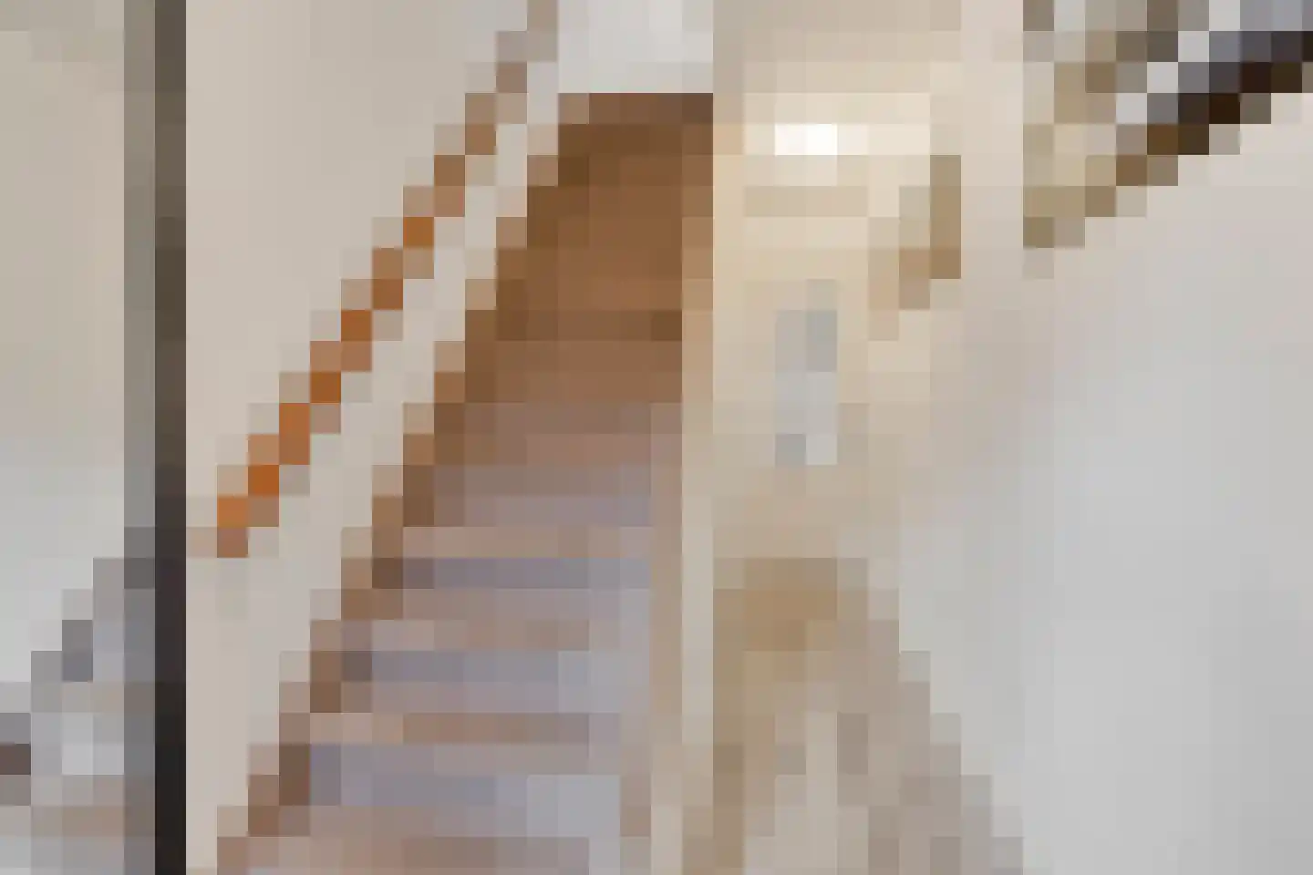 Cyclamenstraat 8 Eindhoven thumbnail 7