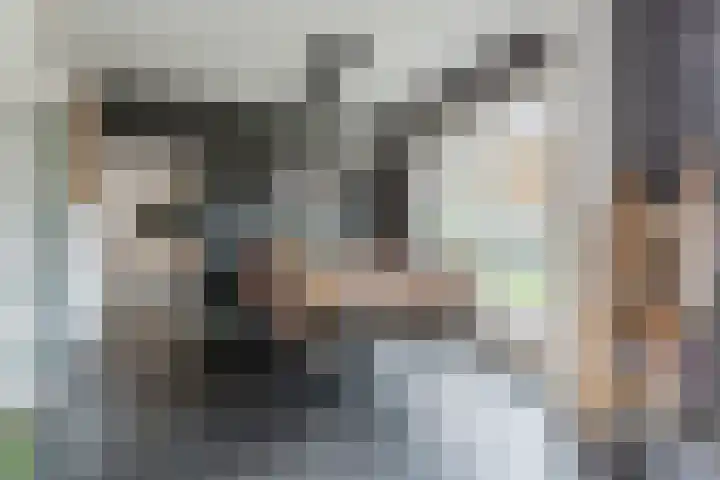 Cygnus 1 Veldhoven thumbnail 10