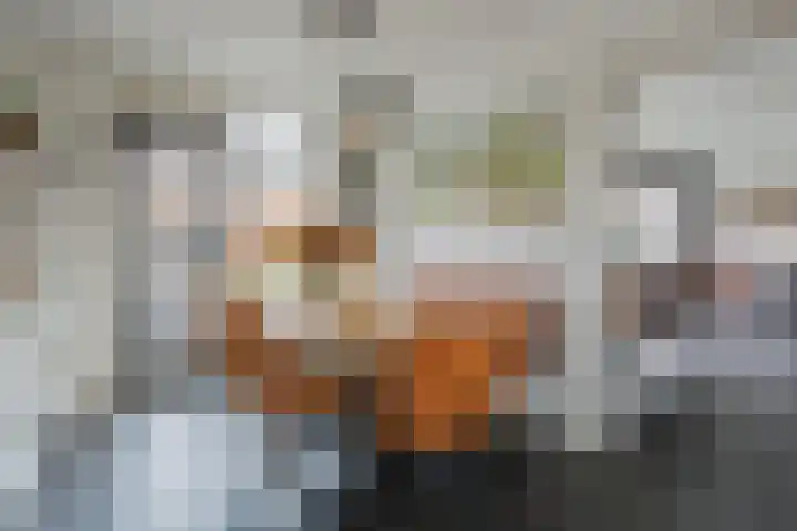 Cygnus 1 Veldhoven thumbnail 12