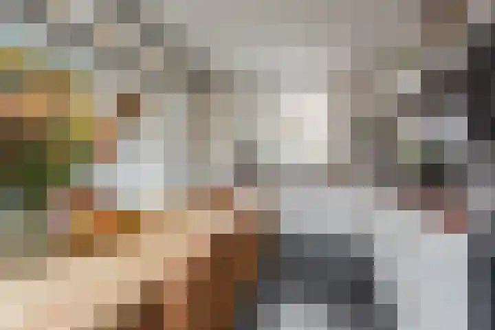 Cygnus 1 Veldhoven thumbnail 14