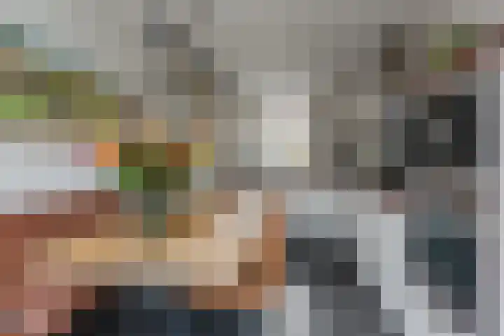 Cygnus 1 Veldhoven thumbnail 15