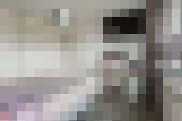 Cygnus 1 Veldhoven thumbnail 25