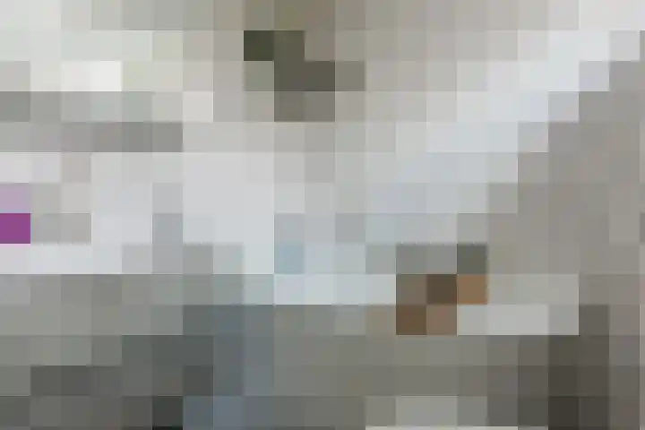 Cygnus 1 Veldhoven thumbnail 29