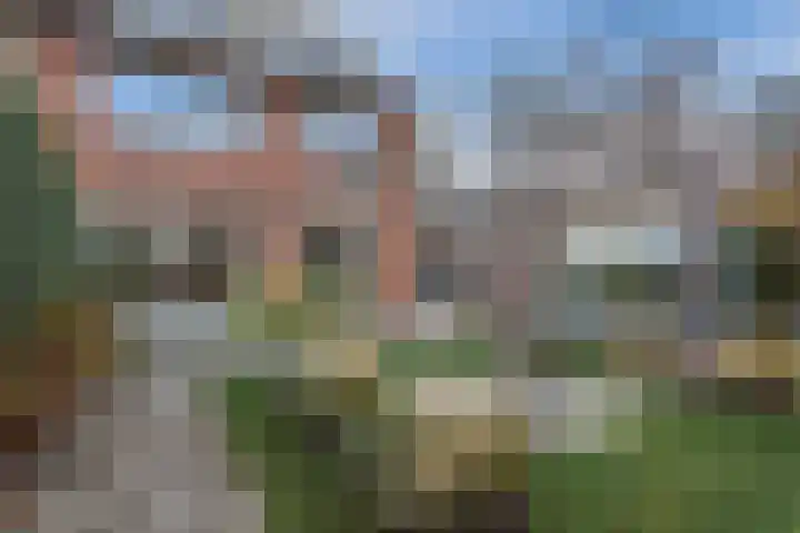 Cygnus 1 Veldhoven thumbnail 36