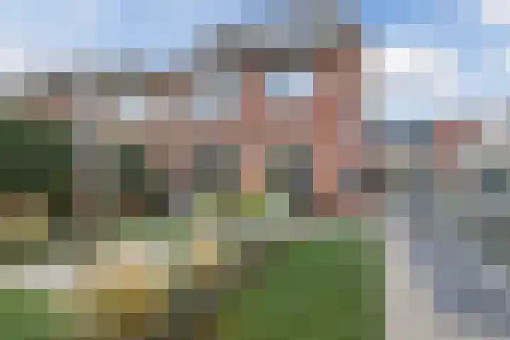 Cygnus 1 Veldhoven thumbnail 37
