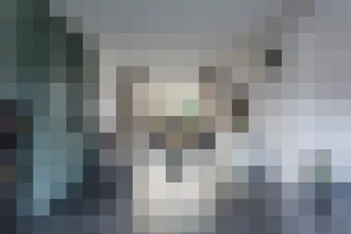 Cygnus 1 Veldhoven thumbnail 4