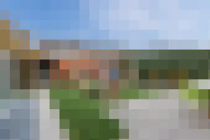 Cygnus 1 Veldhoven thumbnail 41
