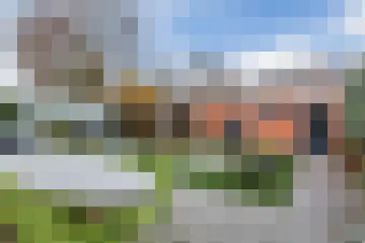 Cygnus 1 Veldhoven thumbnail 42