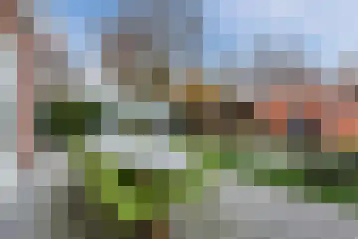 Cygnus 1 Veldhoven thumbnail 43