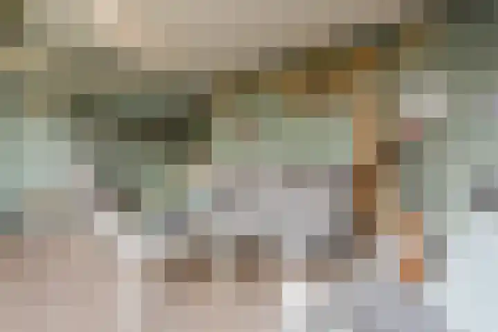 Cygnus 1 Veldhoven thumbnail 44