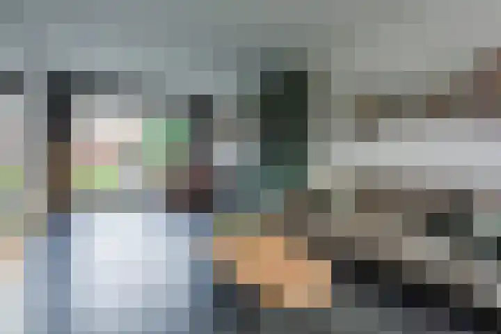 Cygnus 1 Veldhoven thumbnail 6