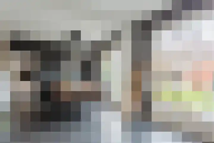 Cygnus 1 Veldhoven thumbnail 9
