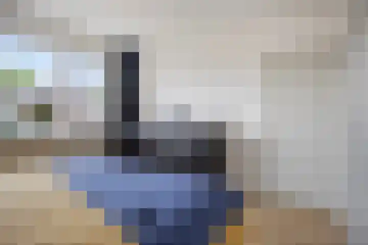 Cygnus 23 Veldhoven thumbnail 18