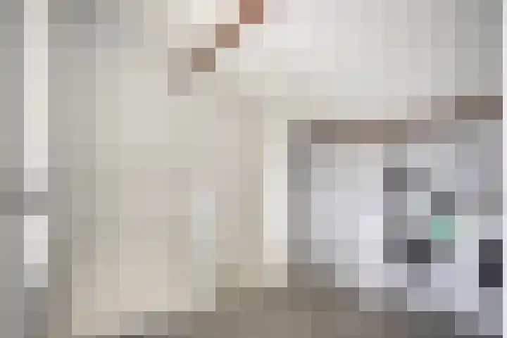 Cygnus 23 Veldhoven thumbnail 23