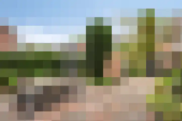 Cygnus 23 Veldhoven thumbnail 28
