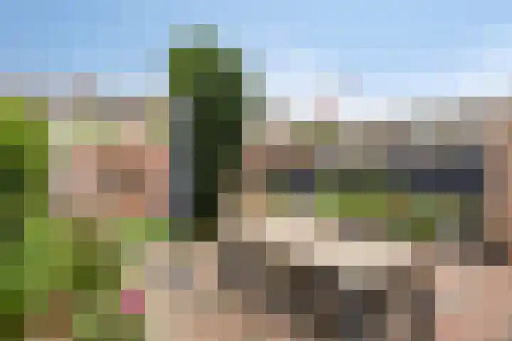 Cygnus 23 Veldhoven thumbnail 29