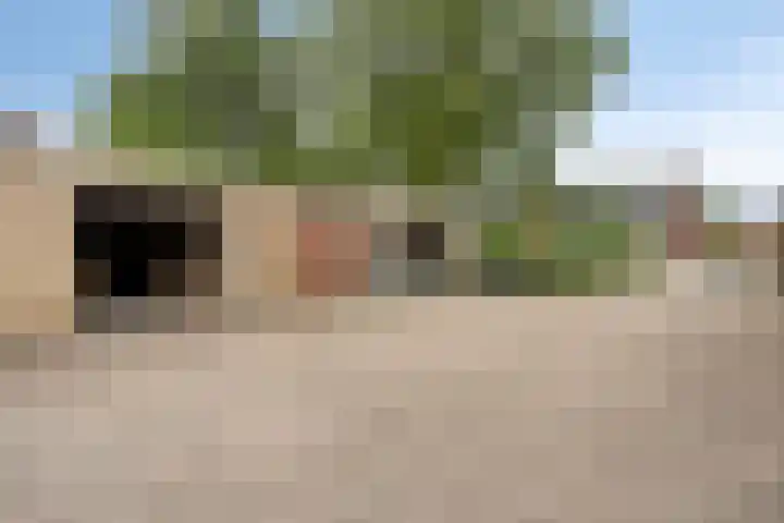 Cygnus 23 Veldhoven thumbnail 32