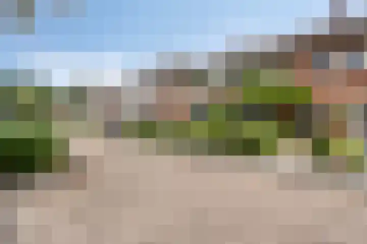 Cygnus 23 Veldhoven thumbnail 35