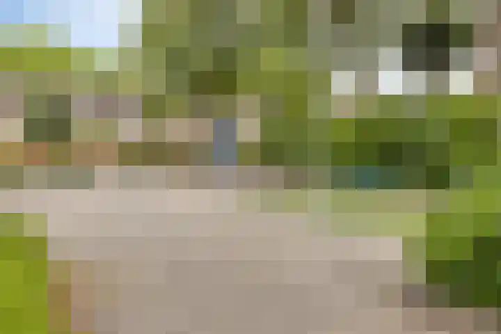 Cygnus 23 Veldhoven thumbnail 36