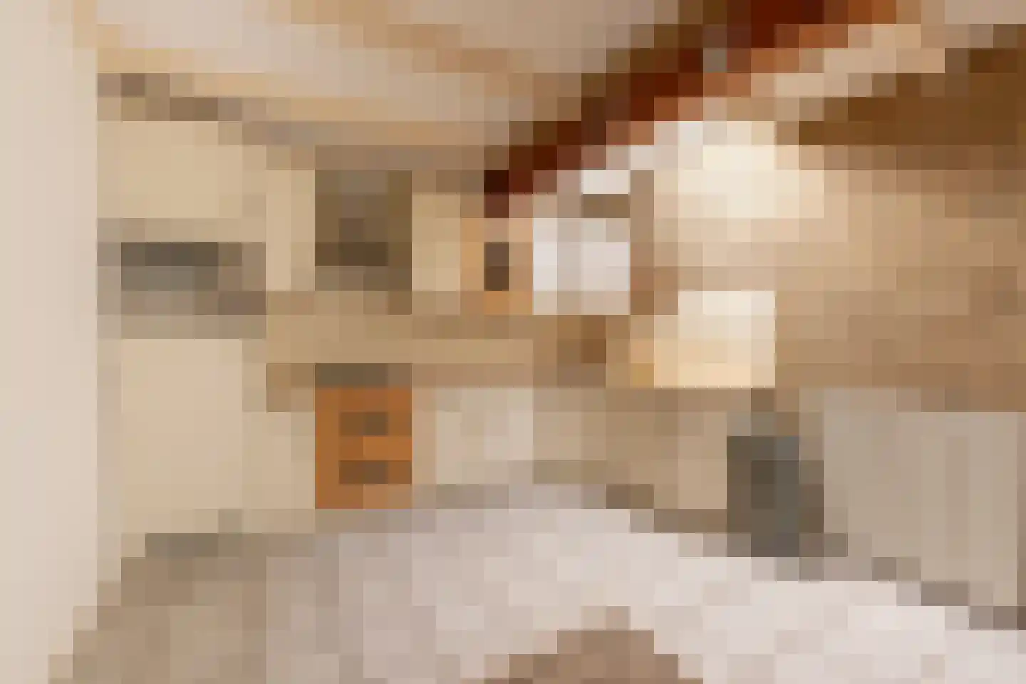 Cynthia Lenigestraat 1 Makkum thumbnail 13